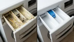 So reinigen Sie die Schublade einer Waschmaschine: Einfache Methode zum Entfernen hartnäckiger Ablagerungen